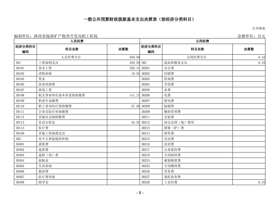 2021年陕西省地质矿产勘查开发局职工医院部门决算_11.png