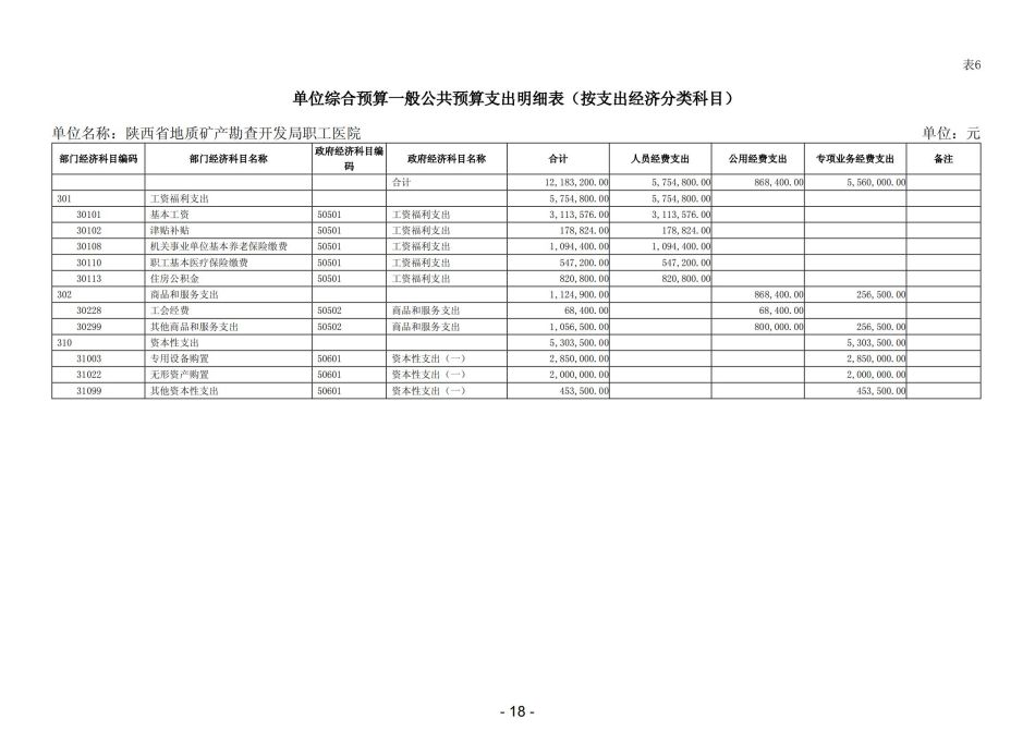 2023年陕西省地质矿产勘查开发局职工医院部门预算_19.jpg
